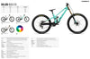 2027 Rallon D-LTD - OMR Carbon - Shimano SAINT M820 (U257)(U258) Downhill MTB