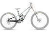 2027 Rallon DH Frame - OMR Carbon (U913)(U914) Downhill MTB Frameset
